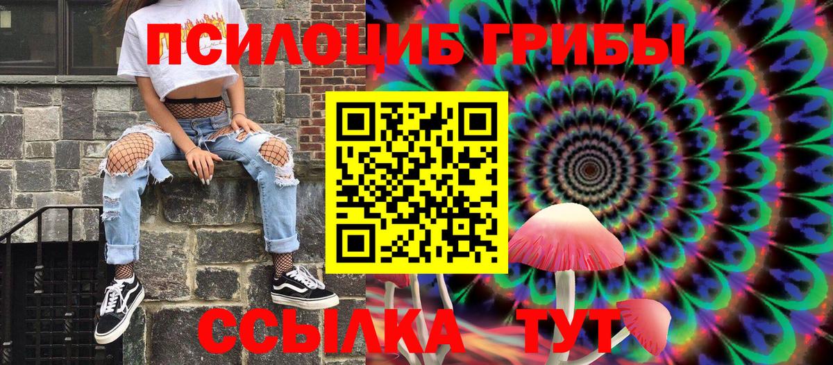 магазин продажи наркотиков  Вход с VPN  Галлюциногенные грибы прущие грибы  Россошь  Галлюциногенные грибы MAGIC MUSHROOMS 